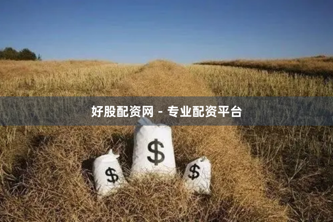 好股配资网 - 专业配资平台